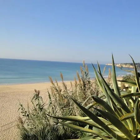 Apartamento Casa Dos Peixes E Mar