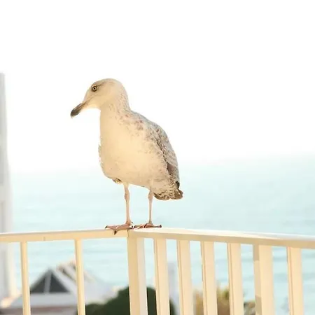 Casa Dos Peixes E Mar