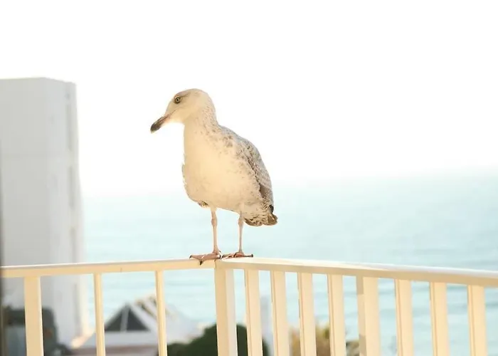 Casa Dos Peixes E Mar